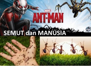 ANTS AND MAN